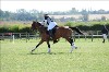 UKPA NC SAT_2280